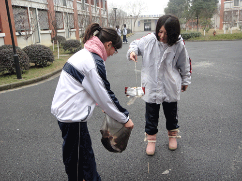 20123895250753.gif